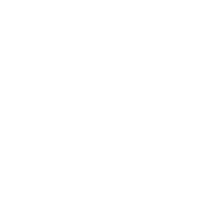 2 5 1- Warrenty